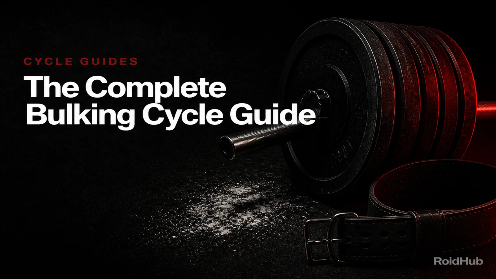 The Complete Bulking Cycle Guide — Compounds, Diet, and Training for ...