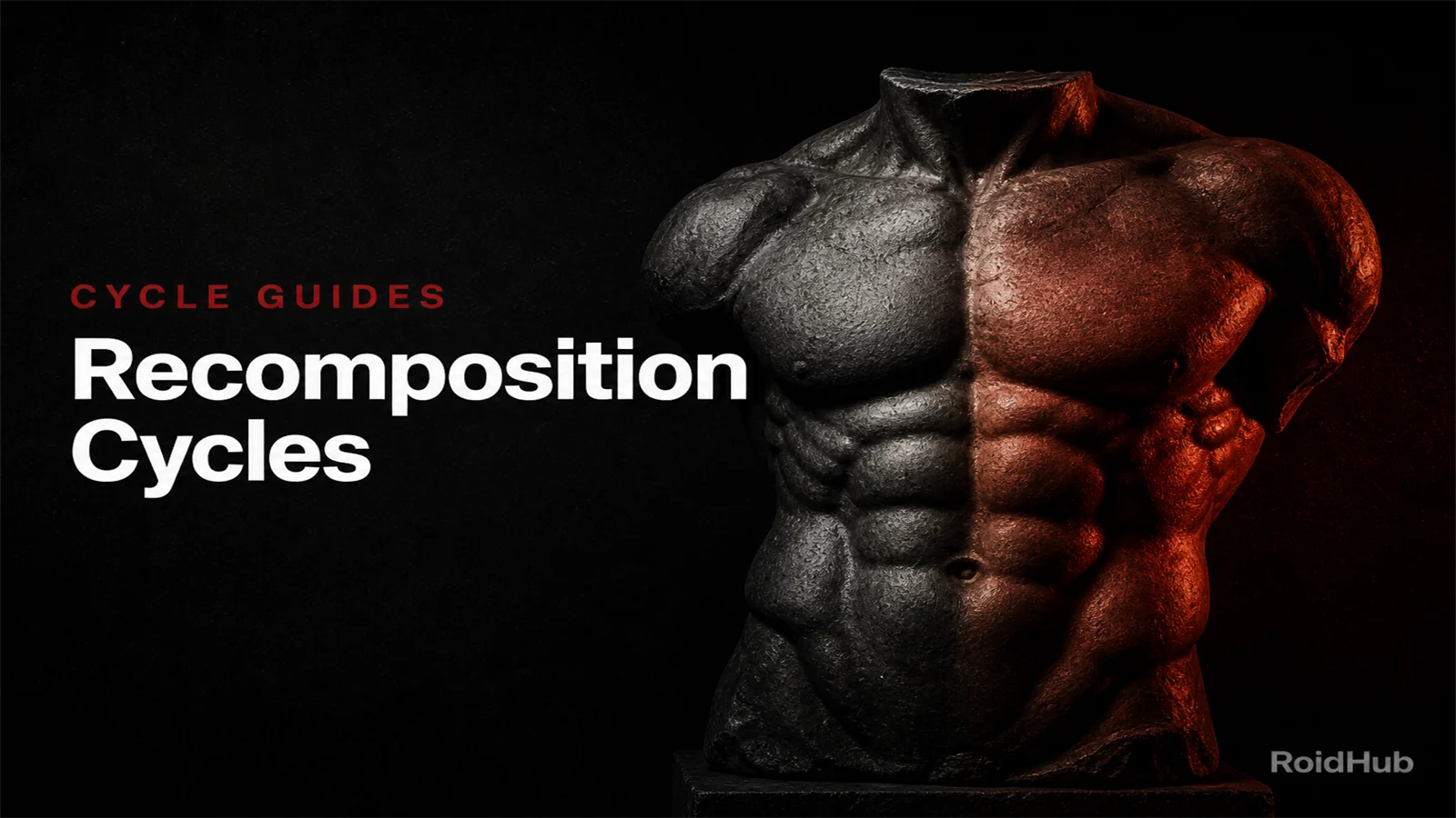 Recomposition Cycles — Building Muscle and Losing Fat Simultaneously ...