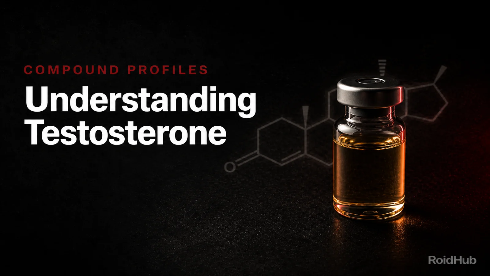 Understanding Testosterone: The Complete Beginner's Guide | RoidHub